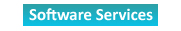 Software Services